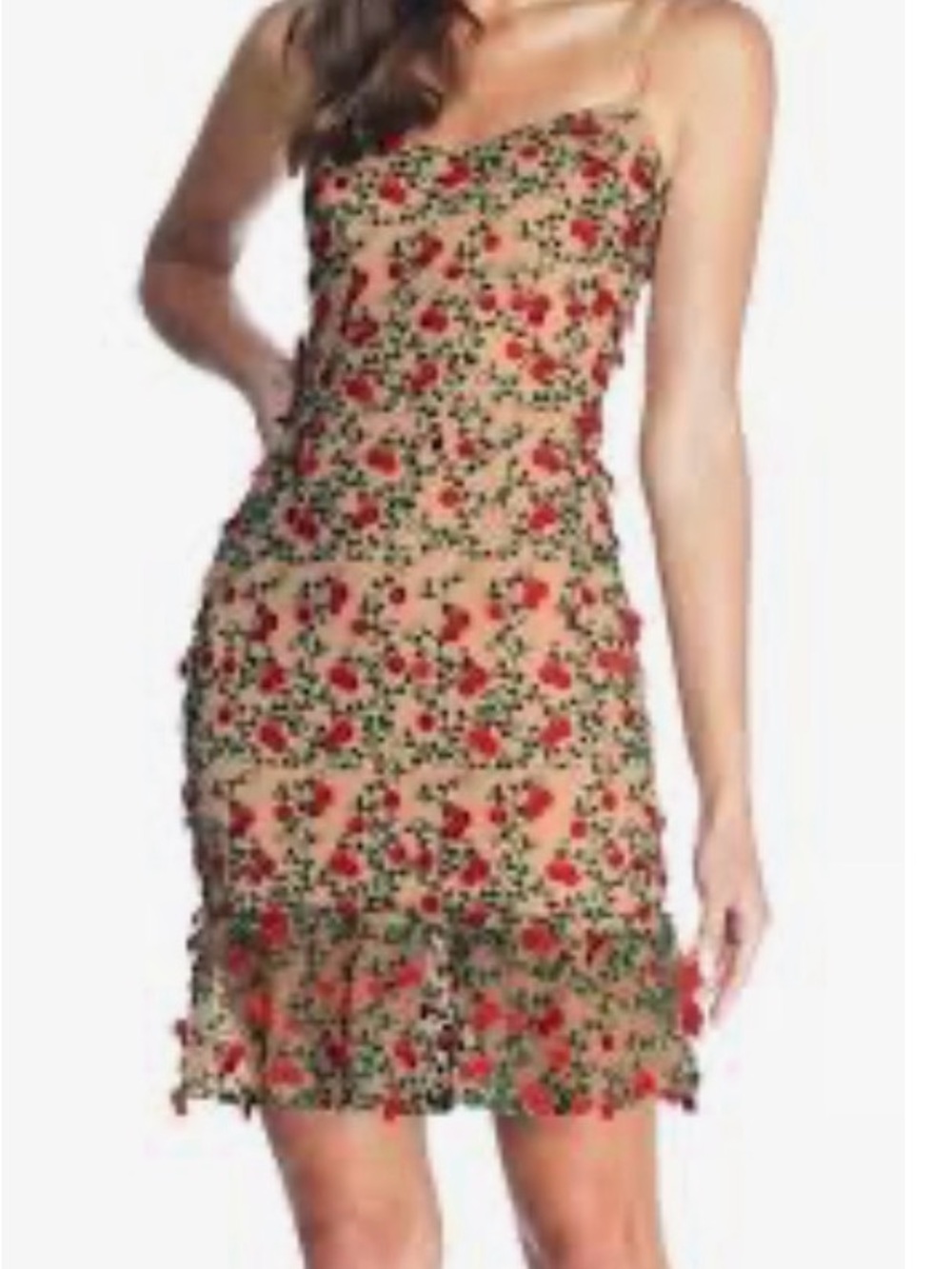 Dress the Population Beige  Dress with Red Floral Embroidery